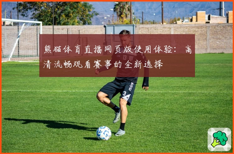 熊猫体育直播网页版使用体验：高清流畅观看赛事的全新选择