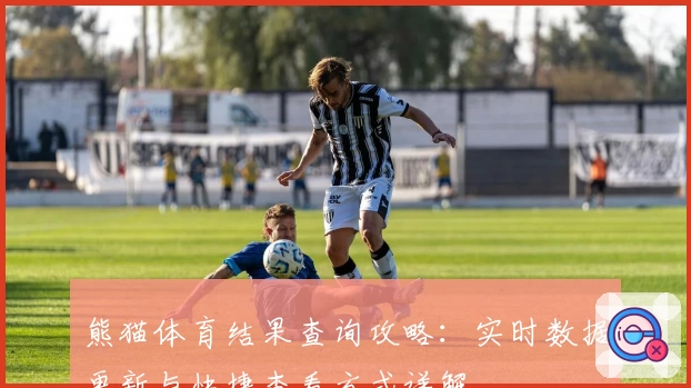 熊猫体育结果查询攻略:实时数据更新与快捷查看方式详解
