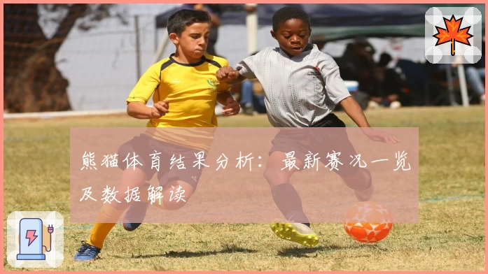 熊猫体育结果分析：最新赛况一览及数据解读