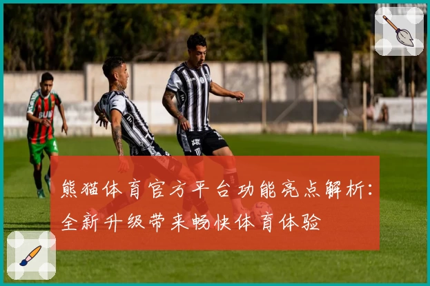 熊猫体育官方平台功能亮点解析：全新升级带来畅快体育体验
