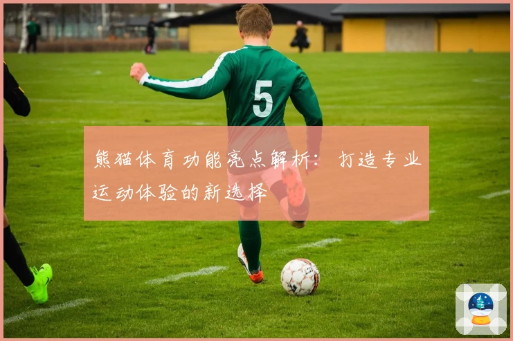 熊猫体育功能亮点解析：打造专业运动体验的新选择