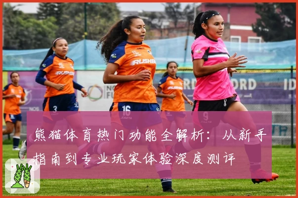 熊猫体育热门功能全解析：从新手指南到专业玩家体验深度测评