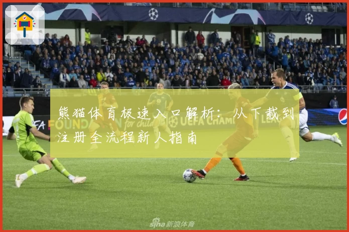 熊猫体育极速入口解析：从下载到注册全流程新人指南