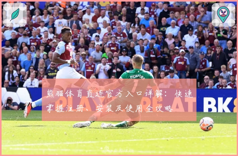 熊猫体育直连官方入口详解:快速掌握注册、安装及使用全攻略