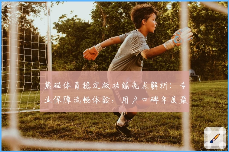 熊猫体育稳定版功能亮点解析：专业保障流畅体验，用户口碑年度最佳选择