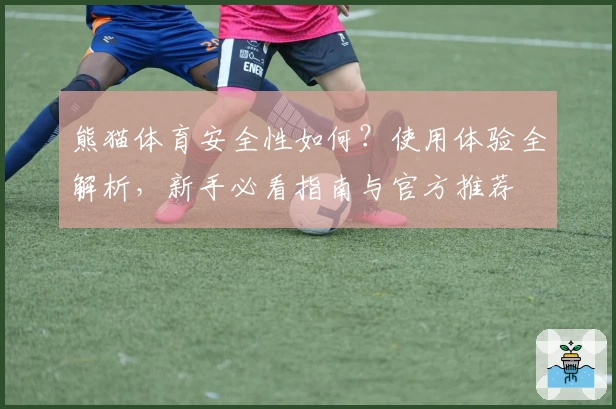 熊猫体育安全性如何？使用体验全解析，新手必看指南与官方推荐