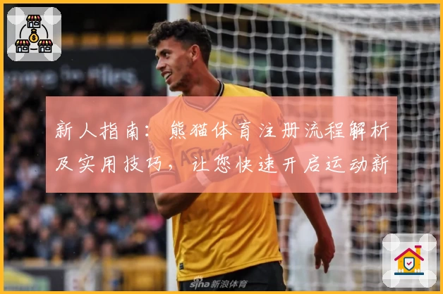 新人指南：熊猫体育注册流程解析及实用技巧，让您快速开启运动新体验