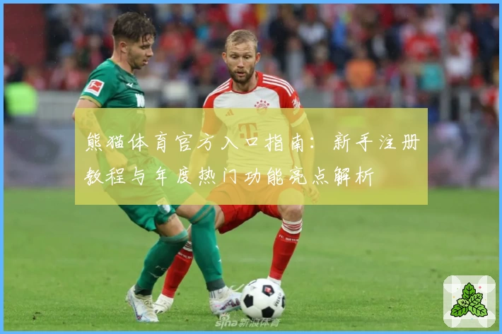 熊猫体育官方入口指南：新手注册教程与年度热门功能亮点解析