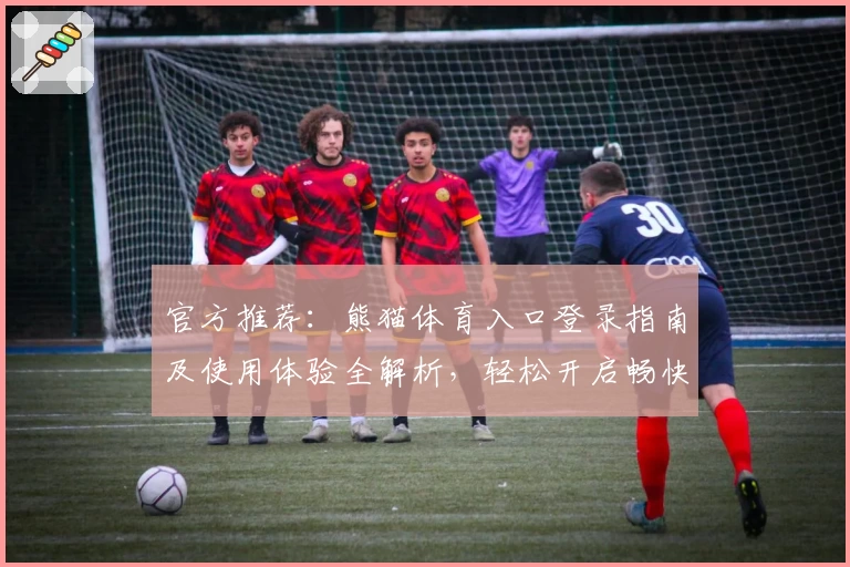 官方推荐：熊猫体育入口登录指南及使用体验全解析，轻松开启畅快运动之旅