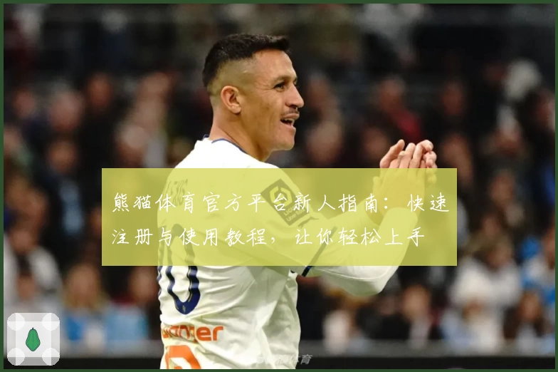 熊猫体育官方平台新人指南：快速注册与使用教程，让你轻松上手