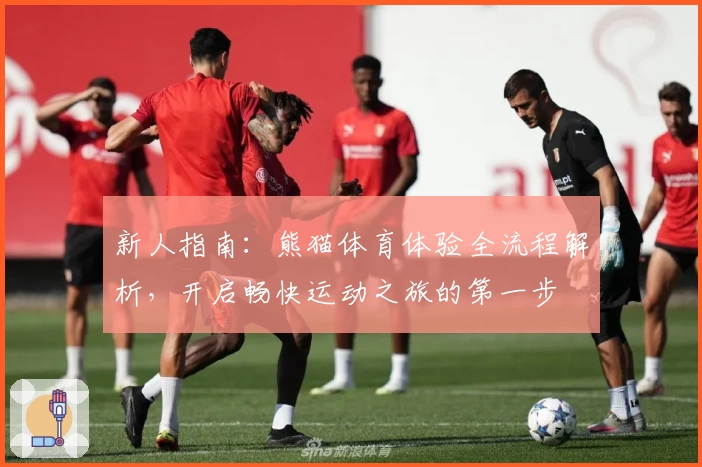 新人指南：熊猫体育体验全流程解析，开启畅快运动之旅的第一步