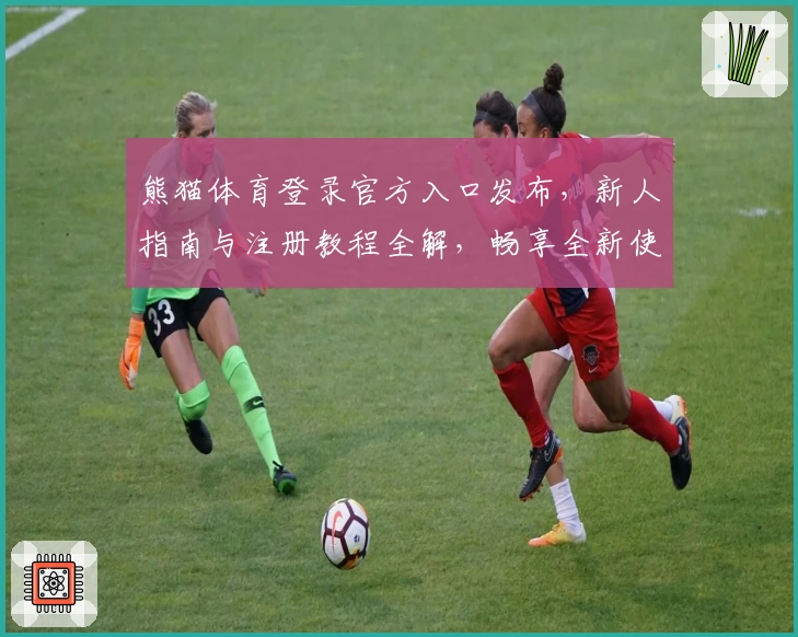 熊猫体育登录官方入口发布,新人指南与注册教程全解,畅享全新使用体验