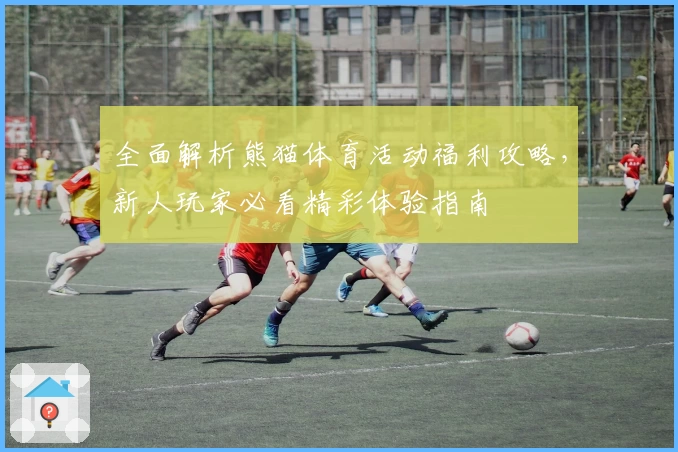 全面解析熊猫体育活动福利攻略，新人玩家必看精彩体验指南