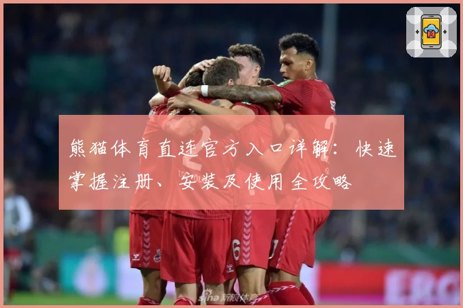 熊猫体育直连官方入口详解：快速掌握注册、安装及使用全攻略